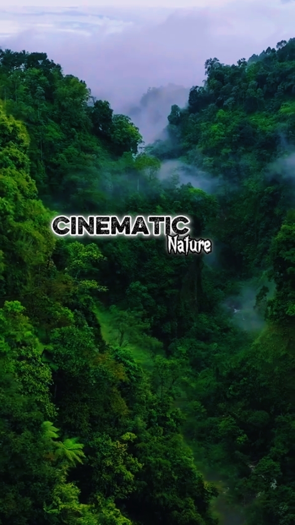 Cinematic 5 Clips 