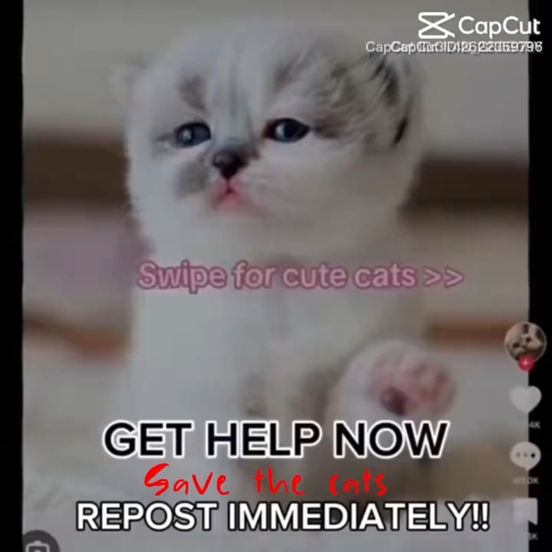 REPOST THIS NOW