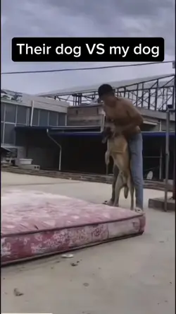Their dog VS my dog