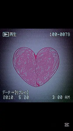 T씨의 말을 믿지 마