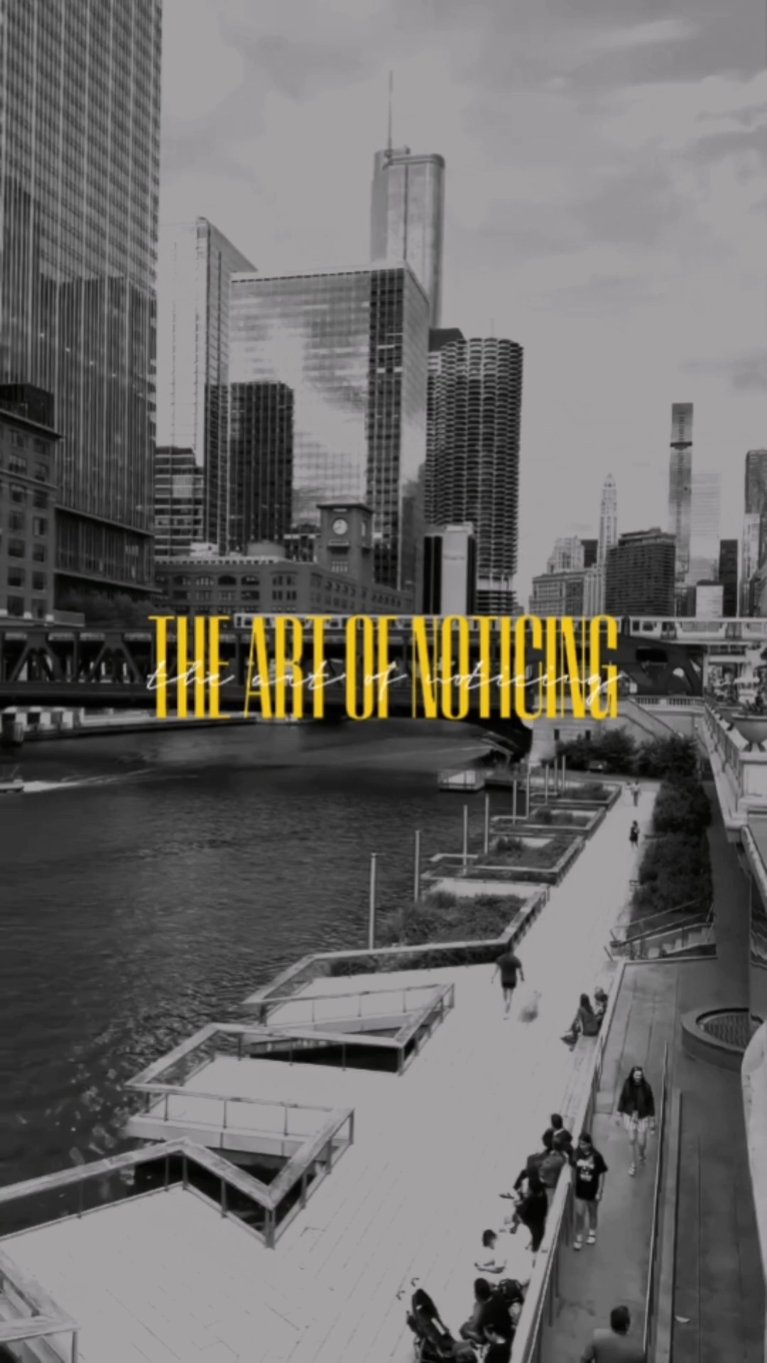 THE ART OF NOTICING