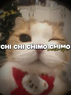 chi chi chimo chimo