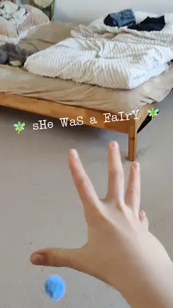 fairy