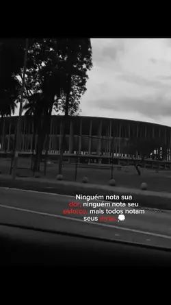ngm nota seu esforço