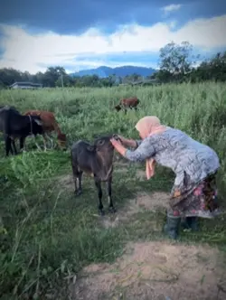 ข้อความเปลี่ยนเองได้🖤🫰🏻