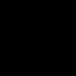 Viral TikTok trend