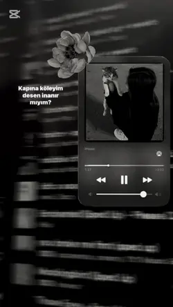 yeni şablon 