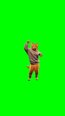 Cat at 3AM