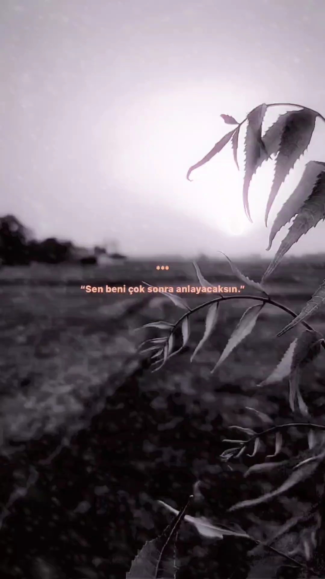 rekor beyeni gelirmi