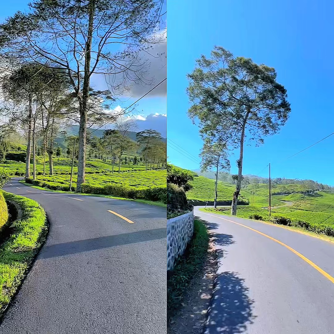 video collage