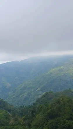 sa bukid