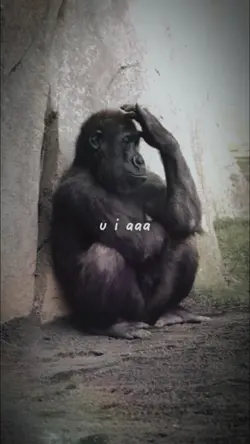ui aa ui aa
