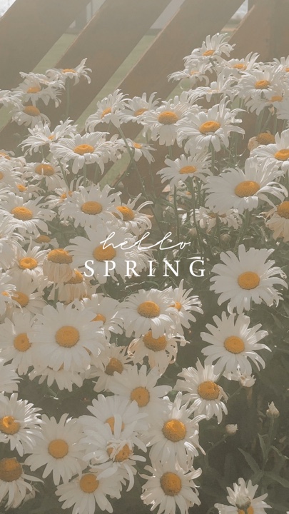 hello spring 🌸