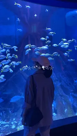 Aquarium vlog |