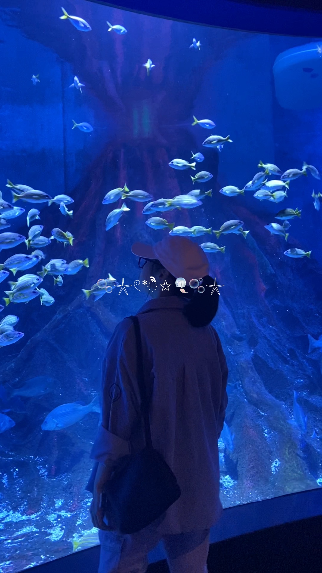 vlog ng Aquarium |