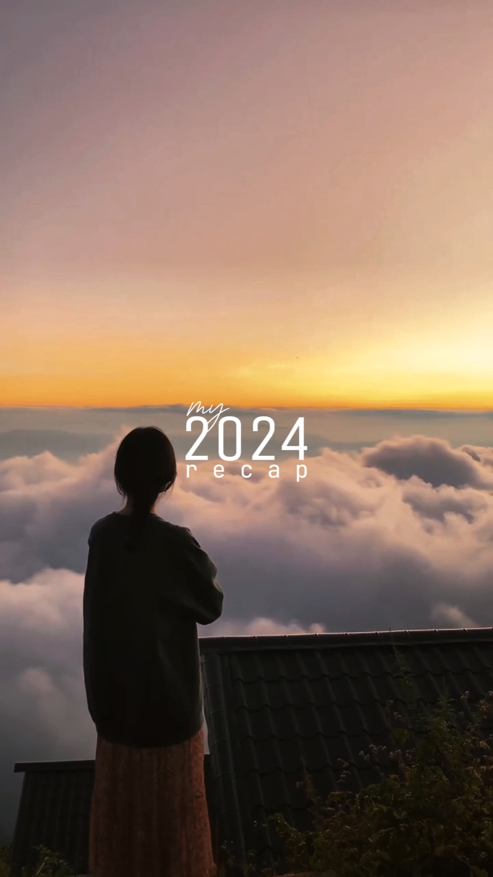 我的2024年回顾