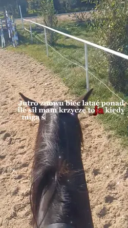 znowubieclataćponad