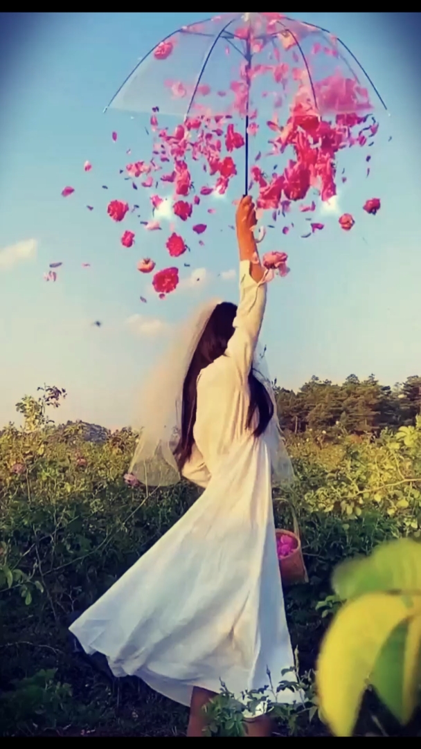mẫu video dài 2 phút