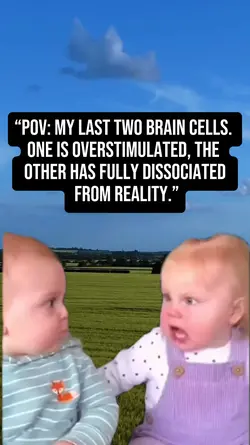 my last 2 brain cell