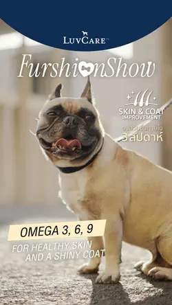 LuvCare FurshionShow