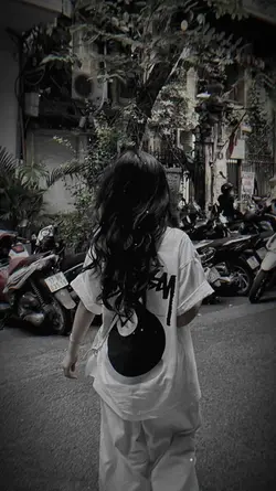 Trình chiếu