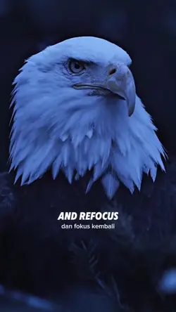 refocus