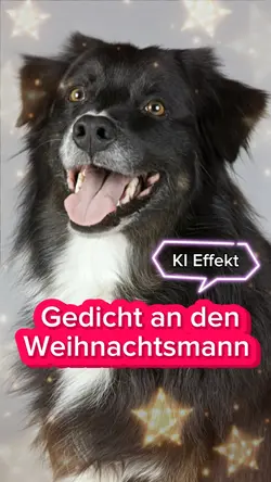 Gedicht Weihnachten