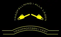 Företag intro