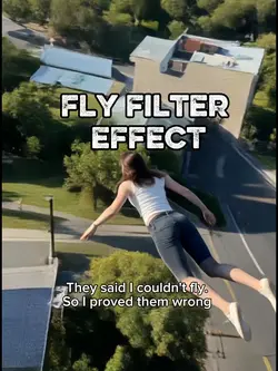 Fly filter effect