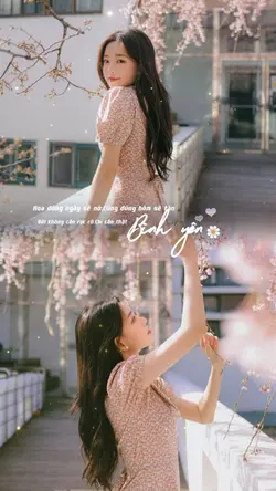 Hoa đúng ngày sẽ nở 