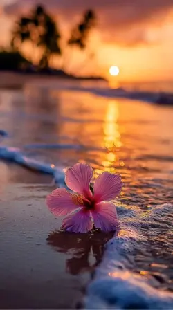 Live wallpaper