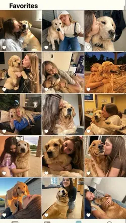 My pets