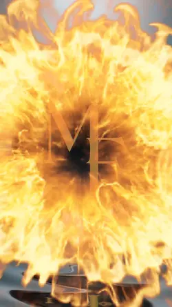 New Brand Intro