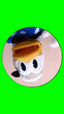 Funny duck video