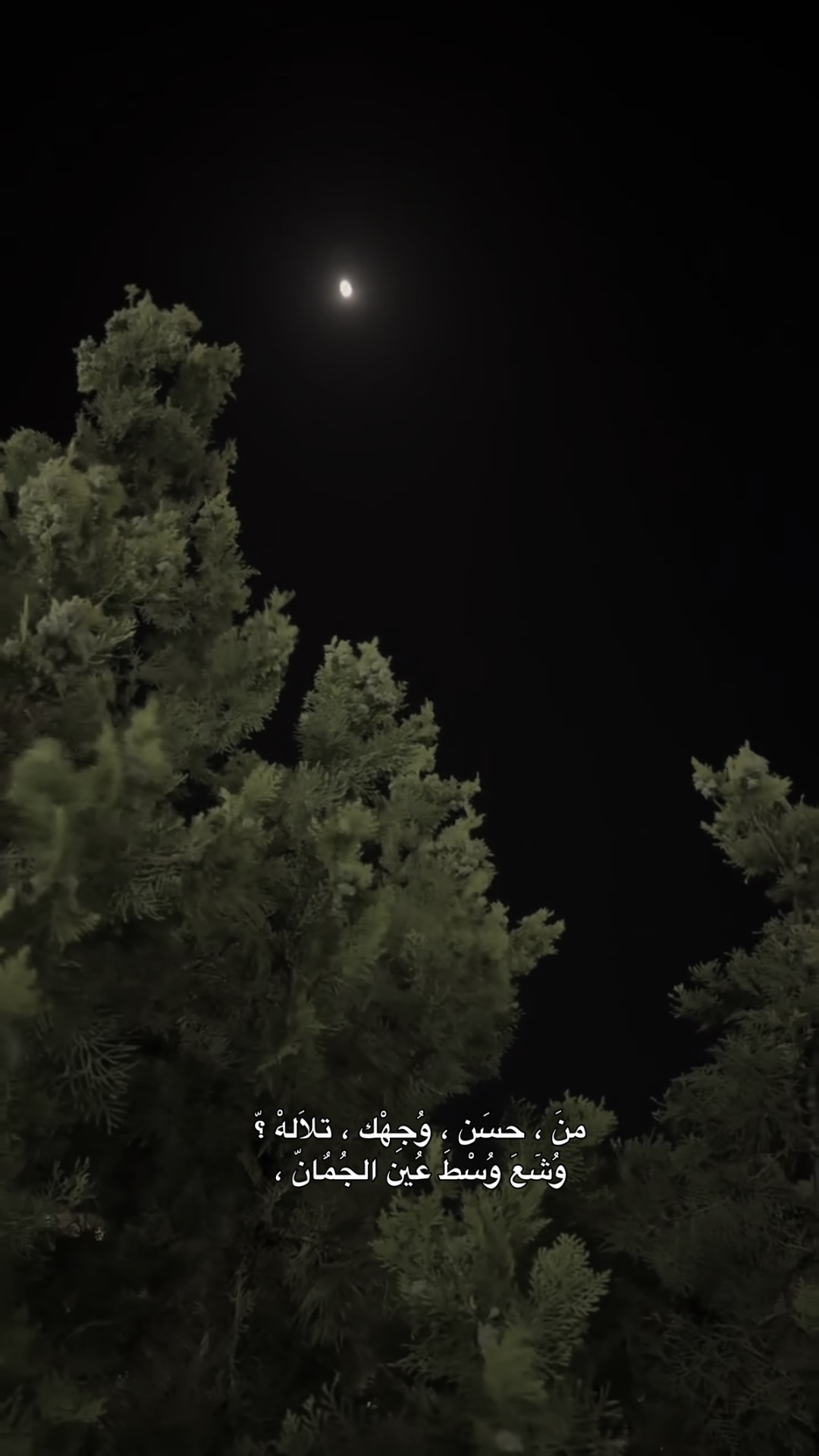 من حسن وجهك تلالة🤎
