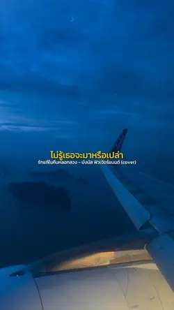 รักแท้ในคืนหลอกลวง