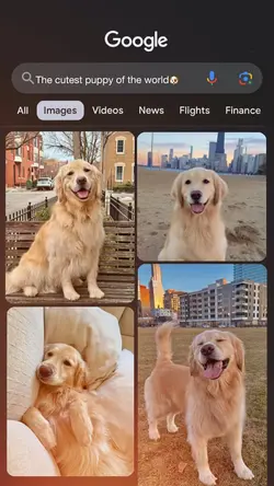 Cutest Puppy -Google