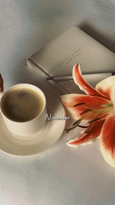 Noviembre 
