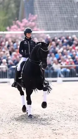 Horse dressage