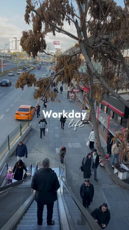 Vida laboral