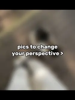 perspective pins