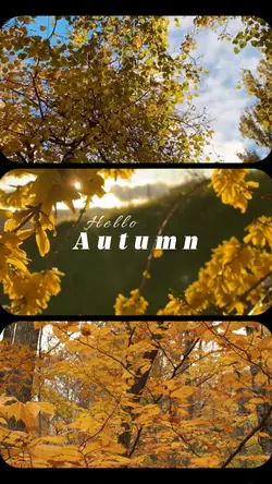 Hello Autumn