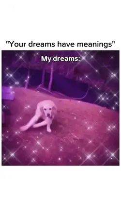 Your dreams have mea