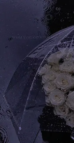 Fire glow spark port