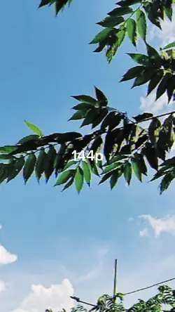 144p to 4k