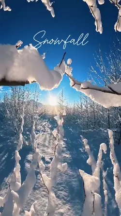 snowfall