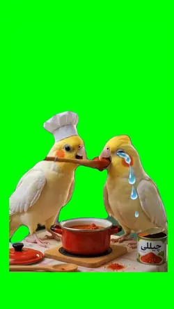 PARROTS COOKING MEME