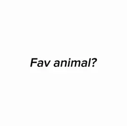My favourite animal🤍