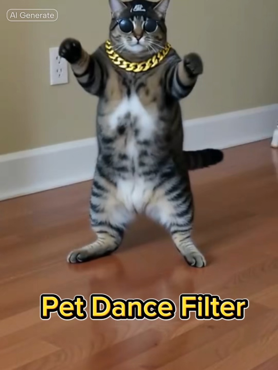 Filtro De Dança De Animais De Estimação