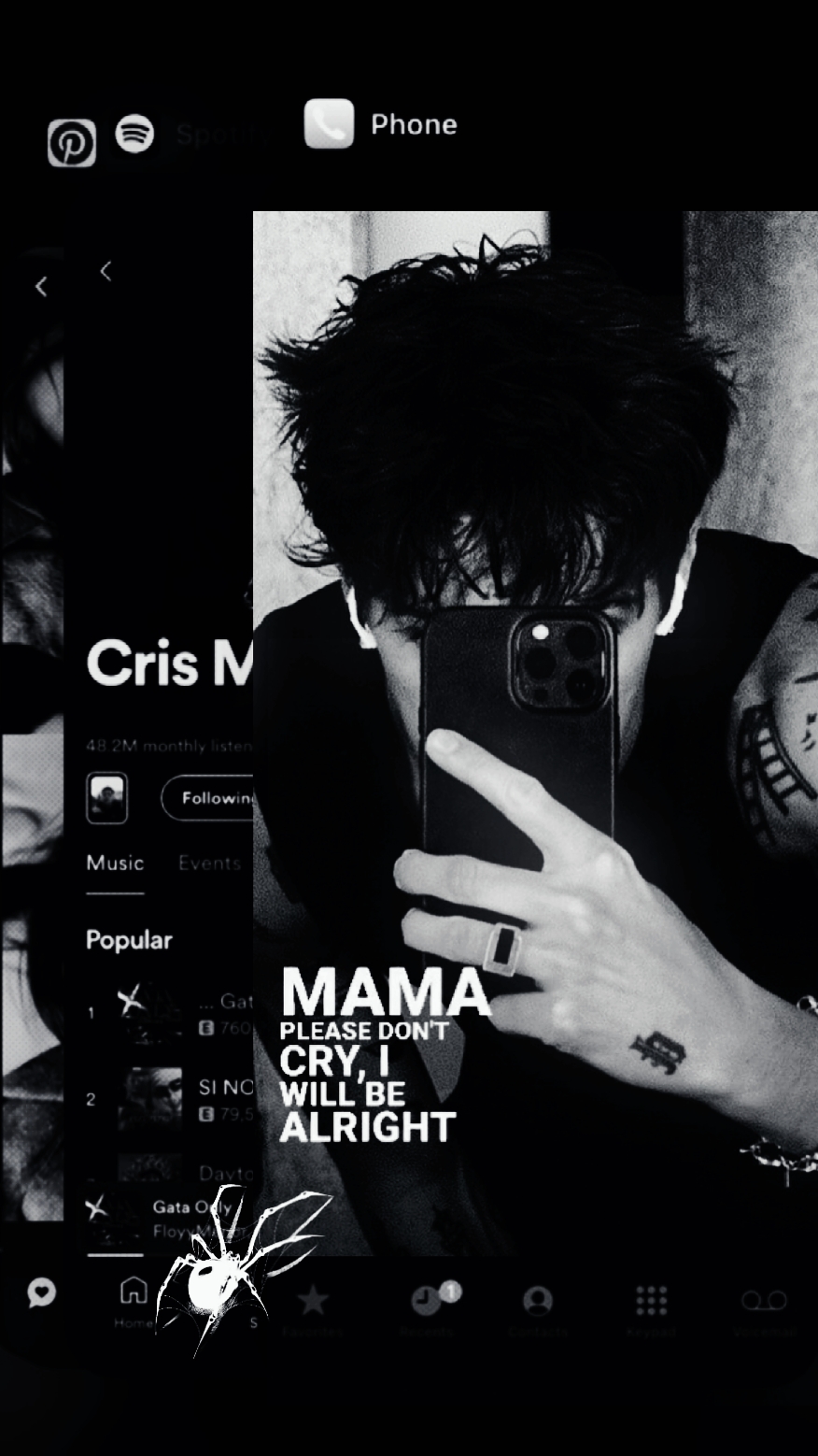 Cover Picture